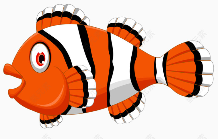 红色条纹小丑鱼