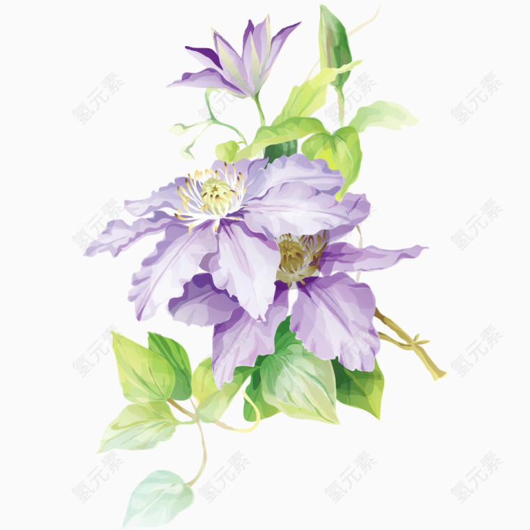 花 中国风 紫色