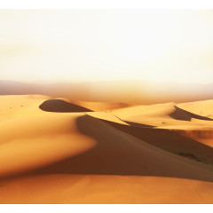 沙丘美景摄影