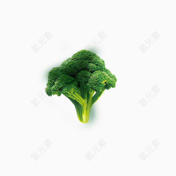 绿色花菜