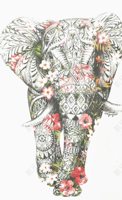 花纹大象