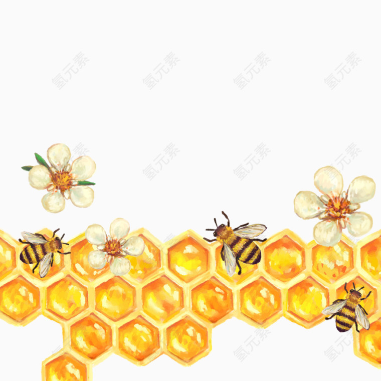 矢量蜜蜂蜂巢