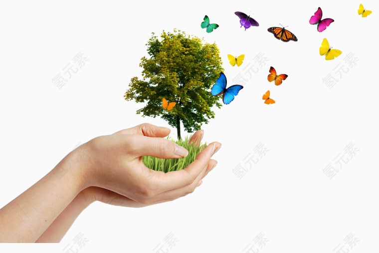 捧在手心的绿色植物与蝴蝶