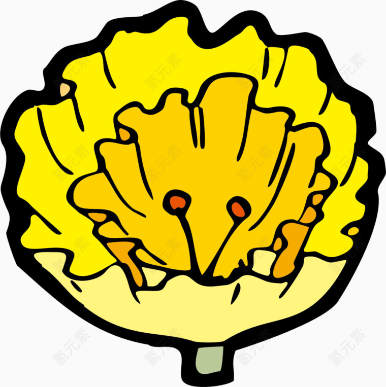黄色的花朵素材图片