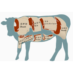 牛肉结构