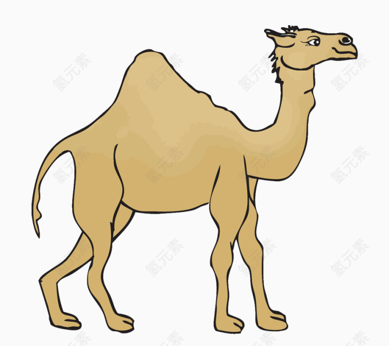 简洁沙漠骆驼