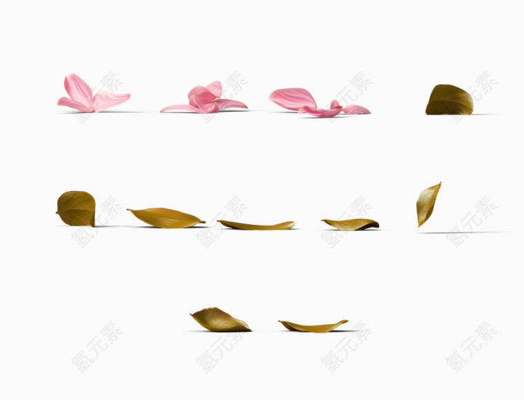 粉色清新花瓣树叶装饰图案