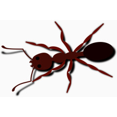 爬行的蚂蚁