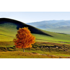 蒙古草原风景