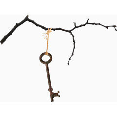 树枝悬吊钥匙