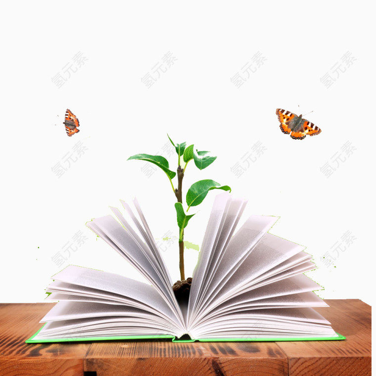 书里长出来的树苗和飞舞的蝴蝶