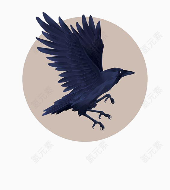 蓝色乌鸦
