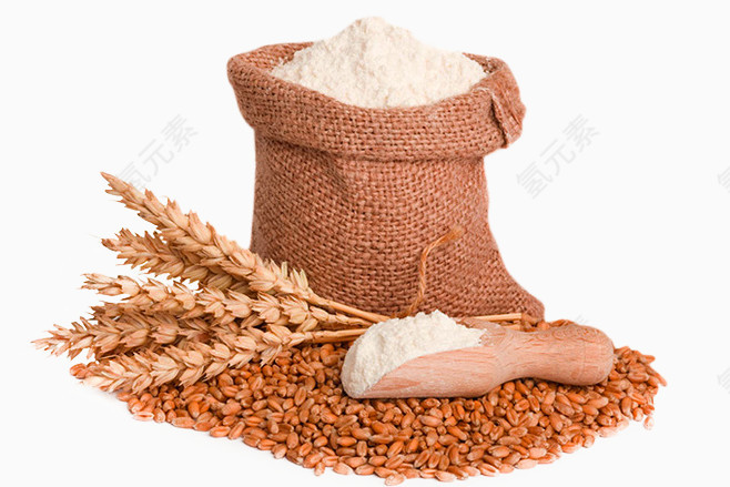 小麦麦穗面粉免抠PNG图片