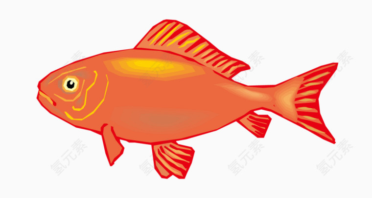 矢量红色观赏鱼素材
