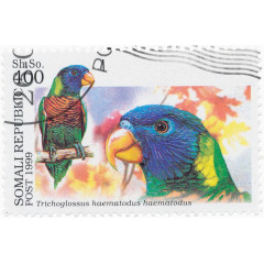 彩色鹦鹉邮票