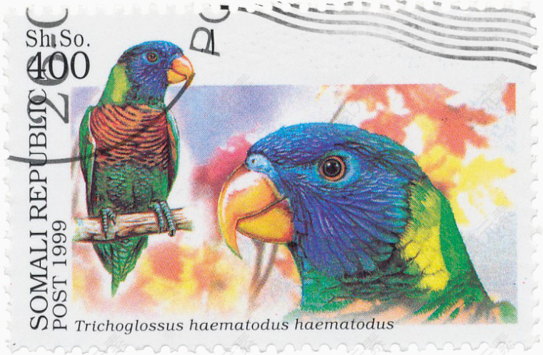 彩色鹦鹉邮票