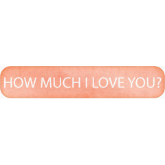 how much i love you