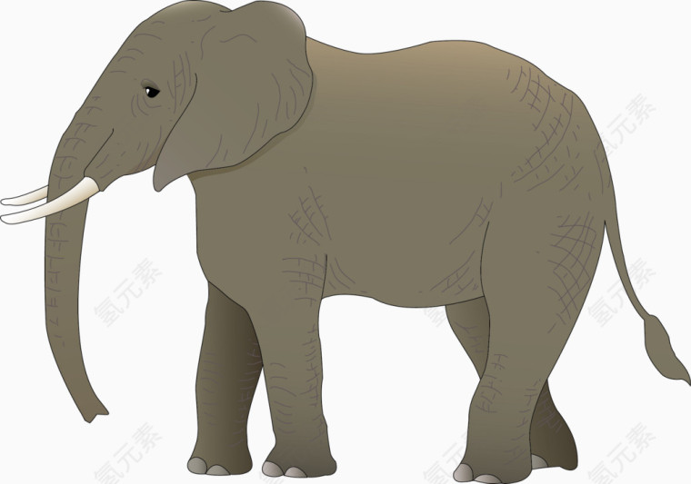 大象矢量图