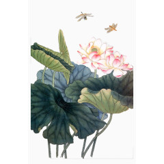 蜻蜓荷塘莲花国画