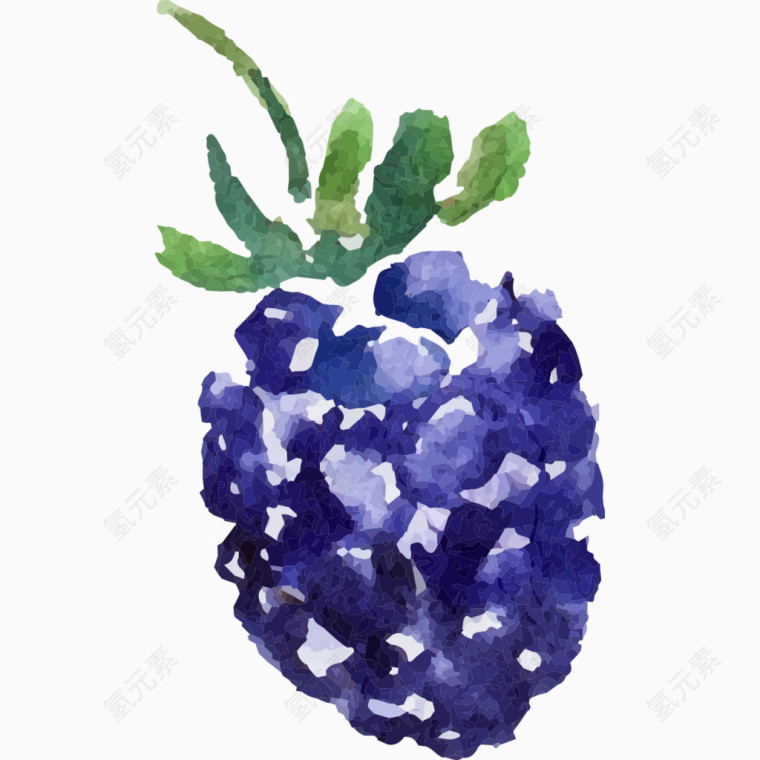 手绘蓝色水果图像
