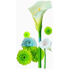 绿色创意植物花卉