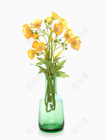 瓶子里的鲜花
