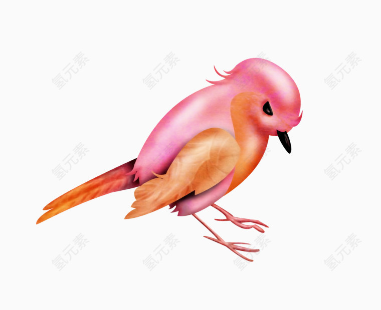 粉色小鸟贴图
