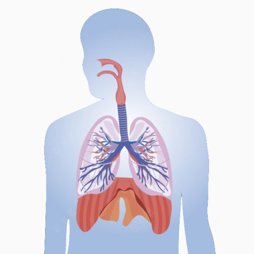 禁烟日公益广告肺部与香烟下载