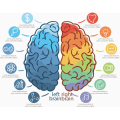 手绘彩色大脑创意分类标签