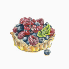 蓝莓桑葚手绘画素材图片