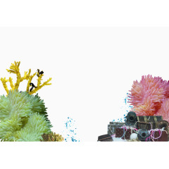 珊瑚珊瑚草宝物水泡