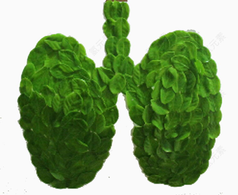 肺部与绿植