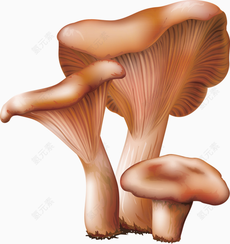 褐色简约蘑菇装饰图案