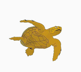 乌龟动物卡通手绘