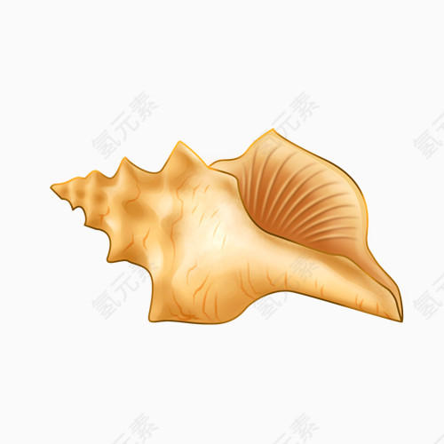 海洋贝壳海螺装饰元素