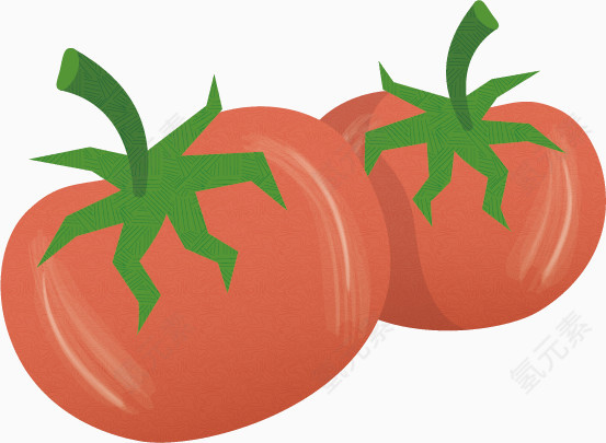 番茄矢量手绘