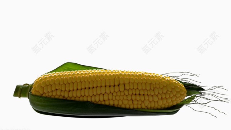 饱满的玉米