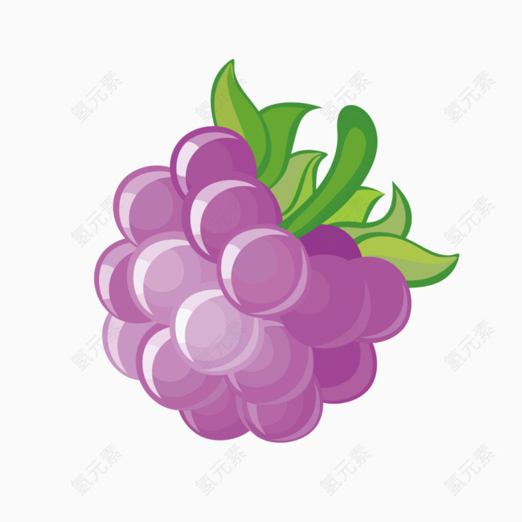 矢量水果俯视紫色桑葚
