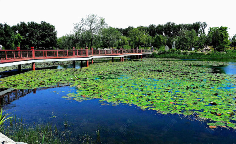 圆明园夏日小景下载