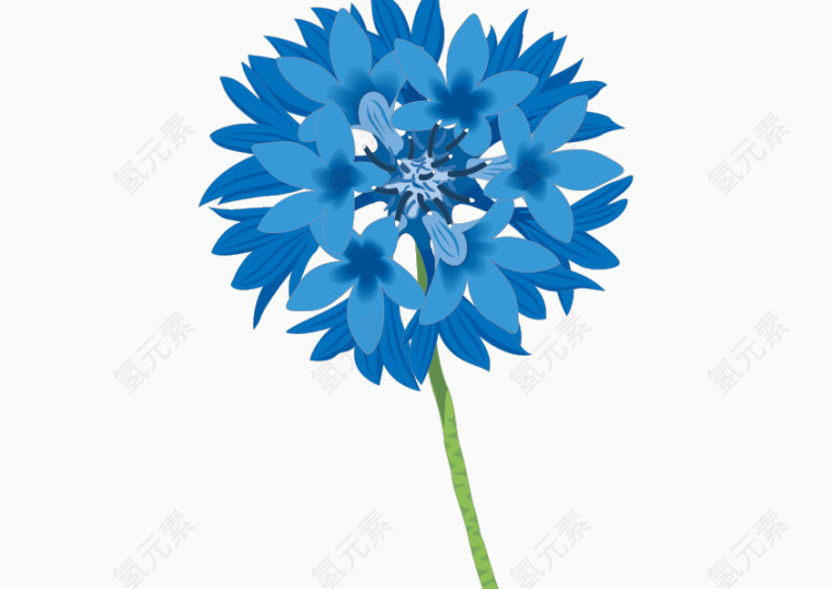 蓝色茎叶花