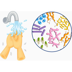 矢量洗手细菌