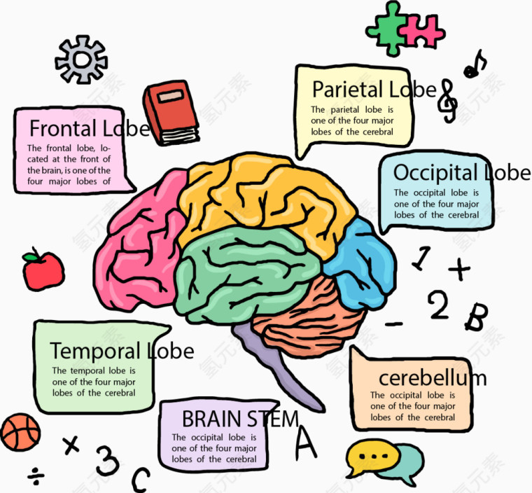 手绘彩色大脑分类标签