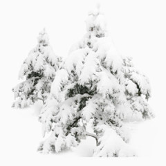 黑白大雪压树枝