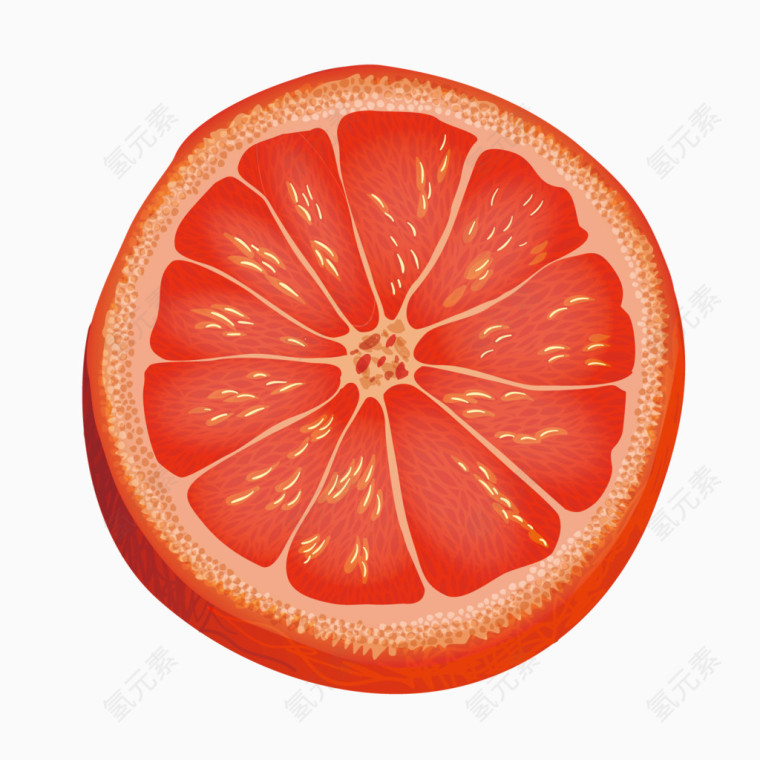 矢量水果俯视红色橘子