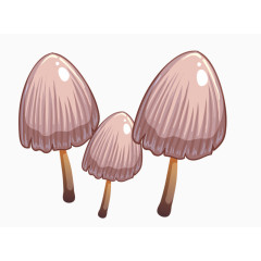 伞盖蘑菇