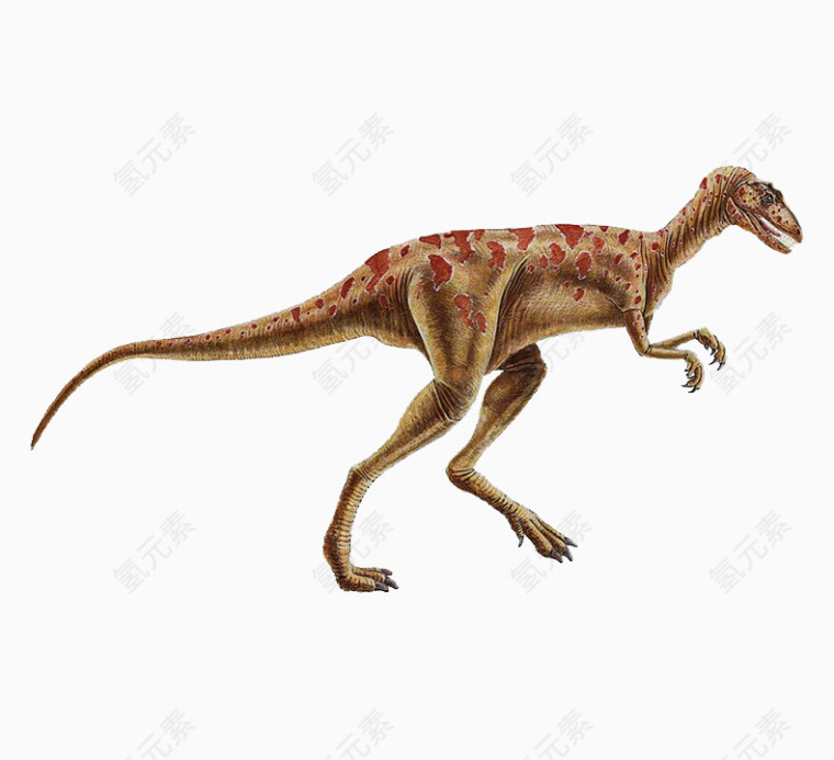 红色斑点的恐龙