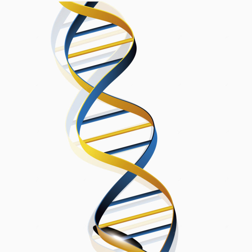 DNA双螺旋结构图下载