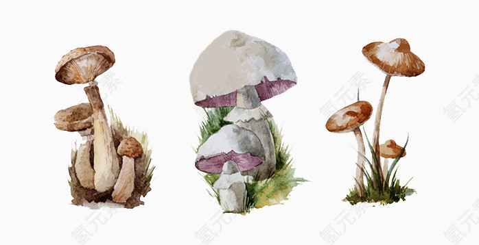卡通蘑菇菌类
