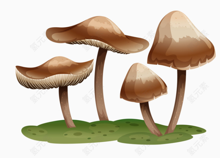 灰蘑菇
