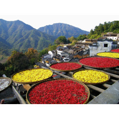 江西婺源风景区